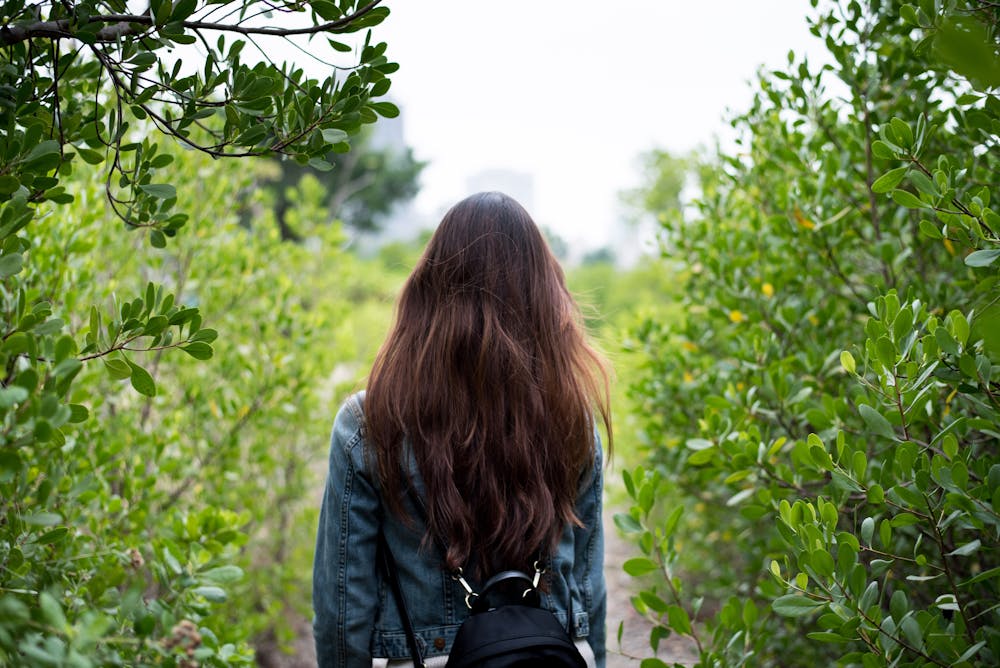 Back view of a woman walking down a lush forest path in spring, surrounded by vibrant green leaves.